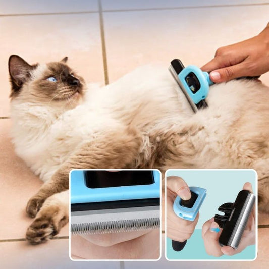 Peigne pour chat - PEIGNEPOURCHAT™ - CHATS