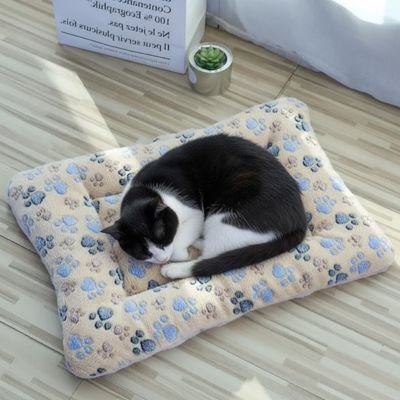 Tapis chauffant chaton - CONFORTANTIGRIFFESPOURCHAT™