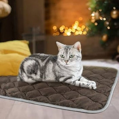 Tapis chauffant chat - AUTOCHAUFFANTPOURCHAT™ - CHATS