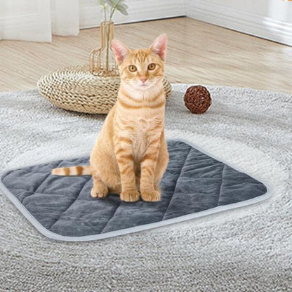Tapis chauffant chat - AUTOCHAUFFANTPOURCHAT™ - CHATS