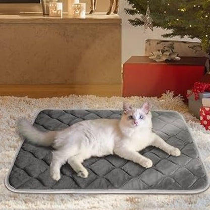 Tapis chauffant chat - AUTOCHAUFFANTPOURCHAT™ - CHATS