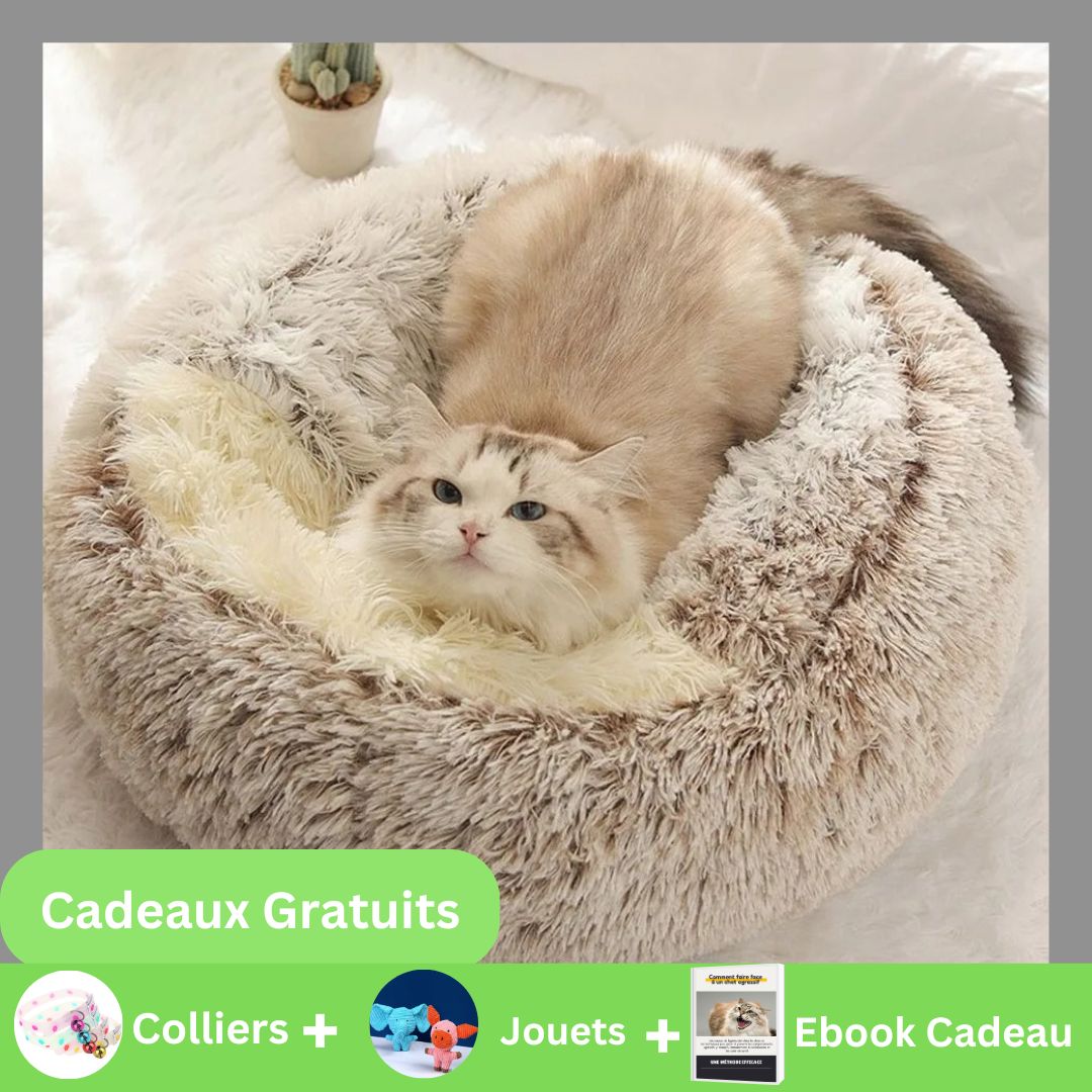 PELUCHAT - Petit lit pour chat - TM - CHATS